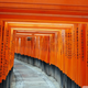 Illustration for article titled Im Going to Japan. Have You Got Any Tips for Travelling?